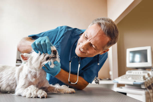 Best Knocked-Out Tooth (Avulsed Tooth) Treatment in Gonzalez, FL